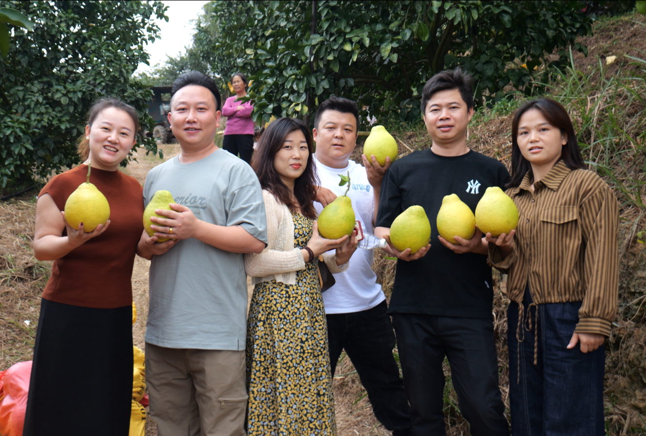 Sincerely Invite Customers to Pick Pomelo Together: A Unique Interactive Experience